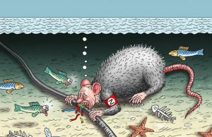 Putin forțează războiul cu NATO în varianta baltică