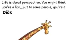 De ce văd asta? Cine are interesul să cred?