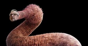 Cum ajunge un “limbric” la Curtea Europeană de Conturi Imagine prelucrată în scop explicativ