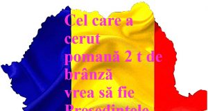 Campanie electorală cu ascuțimea minții sau la baionetă