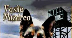 Un roman scris din dragostea pentru câine