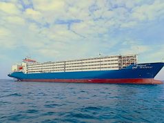 Când Portul Constanța pute a faliment, bălegarul de oaie e parfum