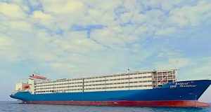 Când Portul Constanța pute a faliment, bălegarul de oaie e parfum