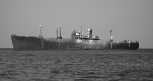 La White Horse, cu chitara, călare pe calul alb