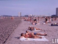 De la litoralul pentru toți la litoralul pentru tonți!