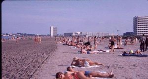 De la litoralul pentru toți la litoralul pentru tonți!