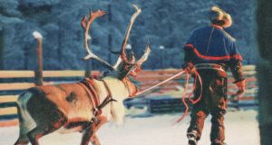 Când „Green Deal” periclitează animalele și oamenii