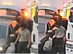 Poliția islandeză intoxicată de IA cu probe fictive