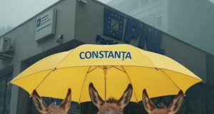 Măgăria distruge România!