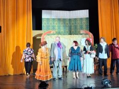 Zbor deasupra unui cuib de vrăbiuțe Foto: Geta Frigioiu