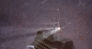 Secretarul de Război cu Presa al lui Trump