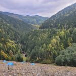 Peisaj din Carpathia