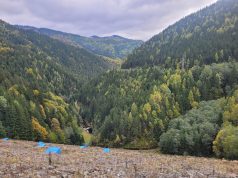 Carpathia Peisaj din Carpathia