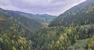 Carpathia Peisaj din Carpathia