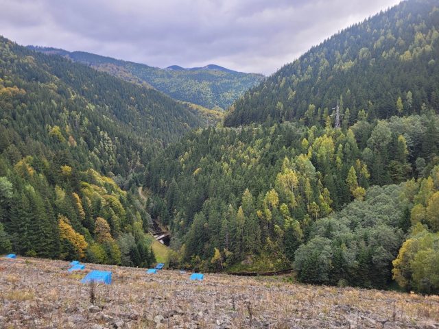 Peisaj din Carpathia