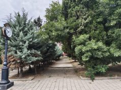 45 de minute captiv în Peninsulă