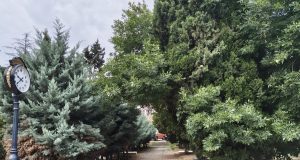 45 de minute captiv în Peninsulă