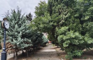 45 de minute captiv în Peninsulă