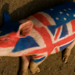 Războiul Porcului anglo-american