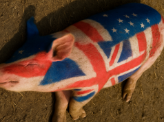 Cele mai stranii conflagrații: ”Războiul Porcului” (1) Războiul Porcului anglo-american