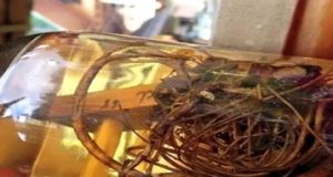 Țuica schinduc, încă una și mă duc! Schinduc la hodină