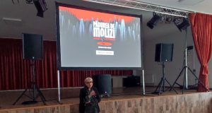 În loc de brad…“Pădurea de molizi” Foto: Geta Frigioiu