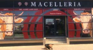 Maidanezul nu pleacă de bunăvoie de la măcelărie