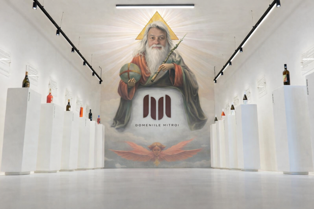 Colaj ilustrativ realizat cu IA Colaj ilustrativ realizat cu IA