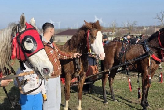 “Botezul cailor” din Nicolae Bălcescu Sursa: Facebook