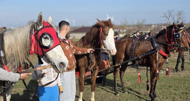 Sursa: Facebook Sursa: Facebook