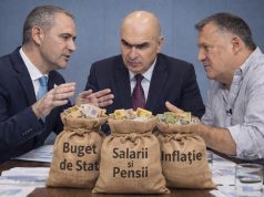 Statul taxează rapid și explică superficial Grafică IA