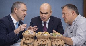 Statul taxează rapid și explică superficial Grafică IA