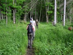 O „Via Mariae” prin Parcul Natural Vânători Neamț Călători pe Via Mariae /APNVNT