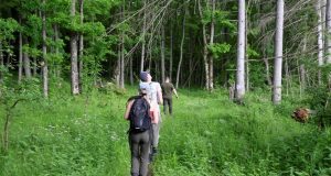 O „Via Mariae” prin Parcul Natural Vânători Neamț Călători pe Via Mariae /APNVNT