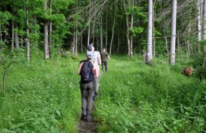 O „Via Mariae” prin Parcul Natural Vânători Neamț Călători pe Via Mariae /APNVNT