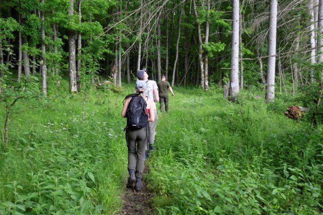 Călători pe Via Mariae /APNVNT Călători pe Via Mariae /APNVNT