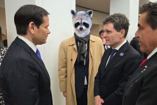 Nick Ușor în SUA sau Singur acasă la Washington Imagine prelucrată în scop ilustrativ cu IA