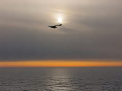 Nedreptatea tăcerii Foto: Dan Mihăescu