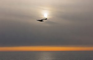 Nedreptatea tăcerii Foto: Dan Mihăescu