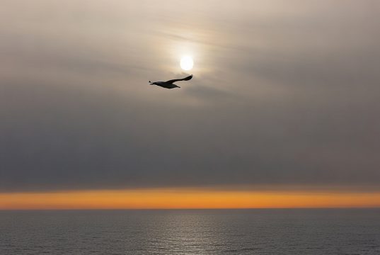 Nedreptatea tăcerii Foto: Dan Mihăescu