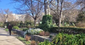 Primăvară în februarie Foto: Sebastian CĂTĂNOIU/Alee în Real Jardín Botánico