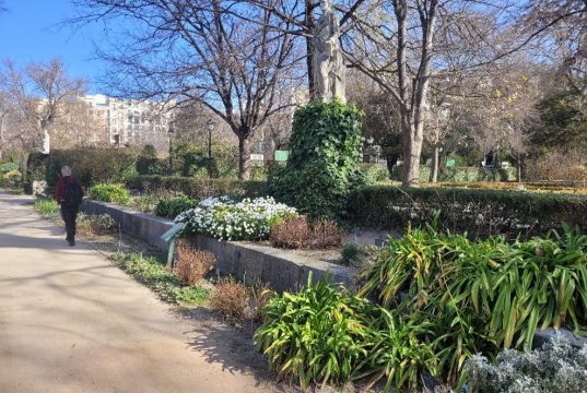 Primăvară în februarie Foto: Sebastian CĂTĂNOIU/Alee în Real Jardín Botánico