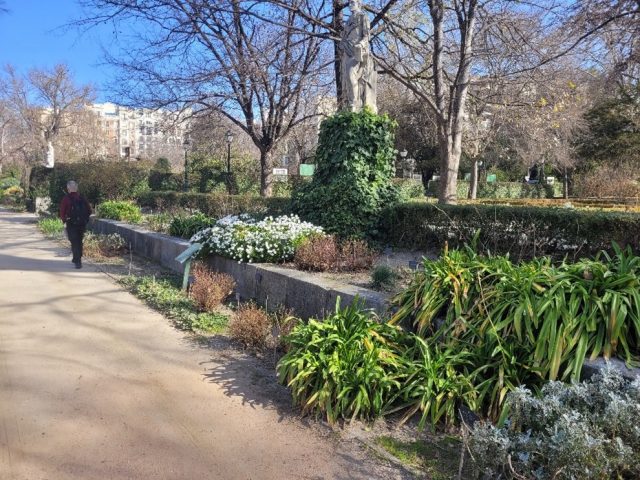 Foto: Sebastian CĂTĂNOIU/Alee în Real Jardín Botánico