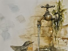 Concursul „Apa este viață!” – 2026 și-a desemnat câștigătorii Locul I – Olteanu Alessia, 16 ani