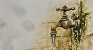 Concursul „Apa este viață!” – 2026 și-a desemnat câștigătorii Locul I – Olteanu Alessia, 16 ani