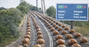 „Alternativa Techirghiol” scurtătura celor 30 de kilometri de amânări Imagine decorativă realizată cu IA