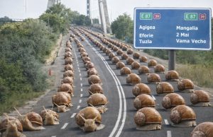 „Alternativa Techirghiol” scurtătura celor 30 de kilometri de amânări Imagine decorativă realizată cu IA