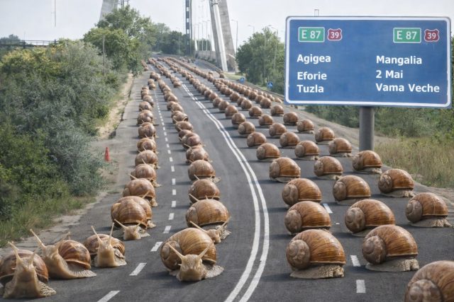 Imagine decorativă realizată cu IA