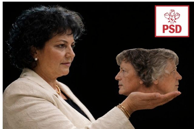 Imagine decorativă