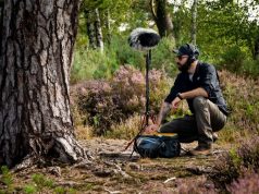 Sunetele pădurii îți intră în casă! George Vlad, sunetele pădurii (https://mindful-audio.com/mentorships)